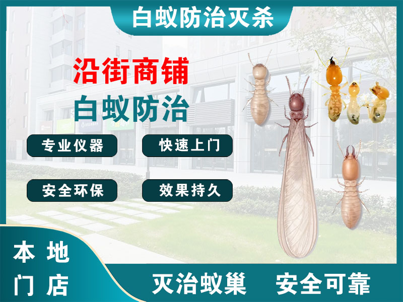 南浔沿街商铺白蚁防治