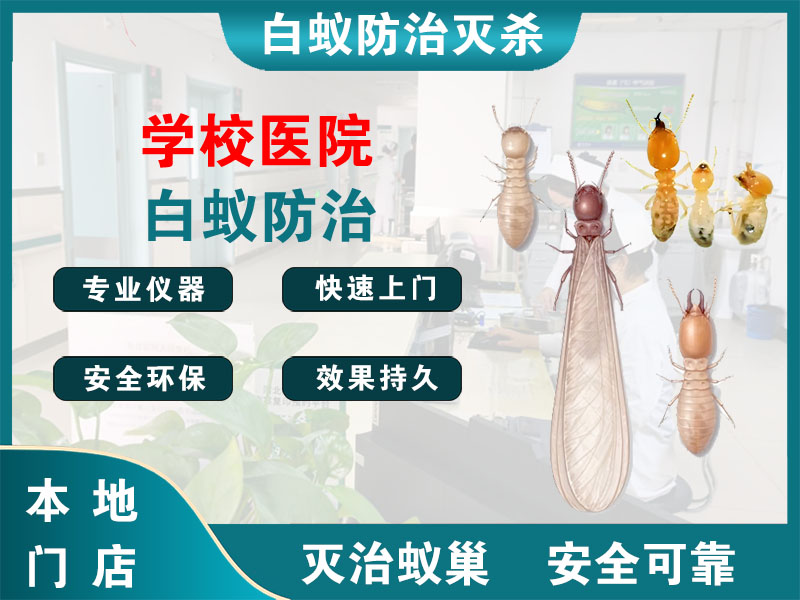 南浔学校医院白蚁防治