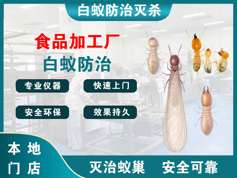 南浔食品加工厂白蚁防治