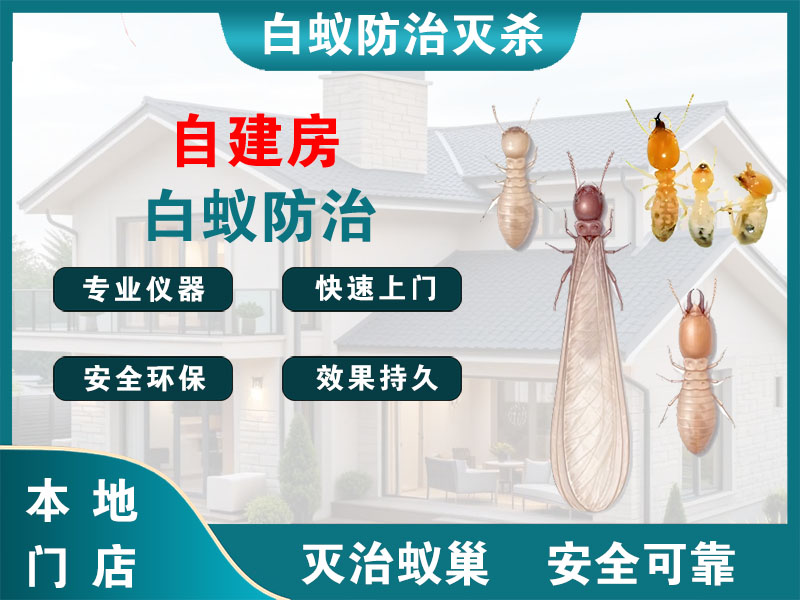南浔自建房白蚁防治