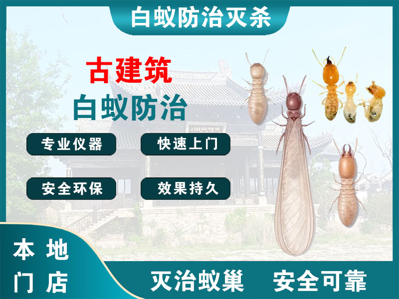 南浔古建筑白蚁防治