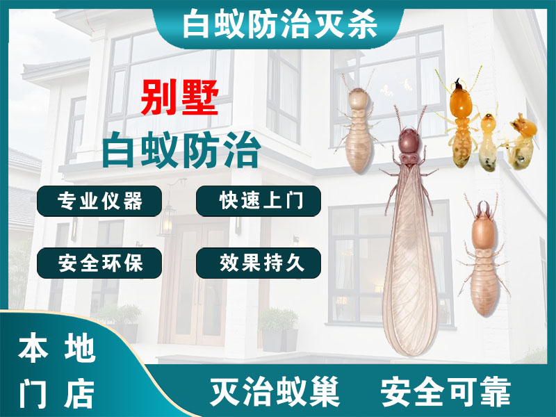 南浔别墅白蚁防治