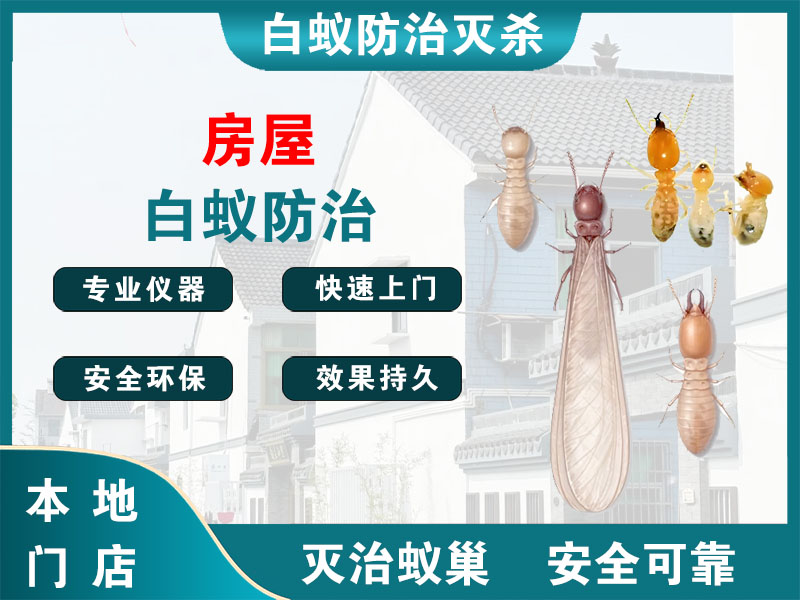 南浔房屋白蚁防治